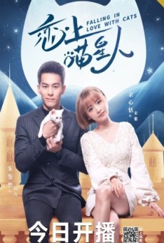 Falling in Love With Cat (2020) ตกหลุมรักสาวแมวเหมียว - ดูหนังออนไลน