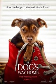 A Dog’s Way Home (2019) - ดูหนังออนไลน